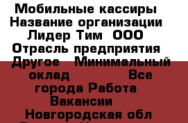 Мобильные кассиры › Название организации ­ Лидер Тим, ООО › Отрасль предприятия ­ Другое › Минимальный оклад ­ 50 000 - Все города Работа » Вакансии   . Новгородская обл.,Великий Новгород г.